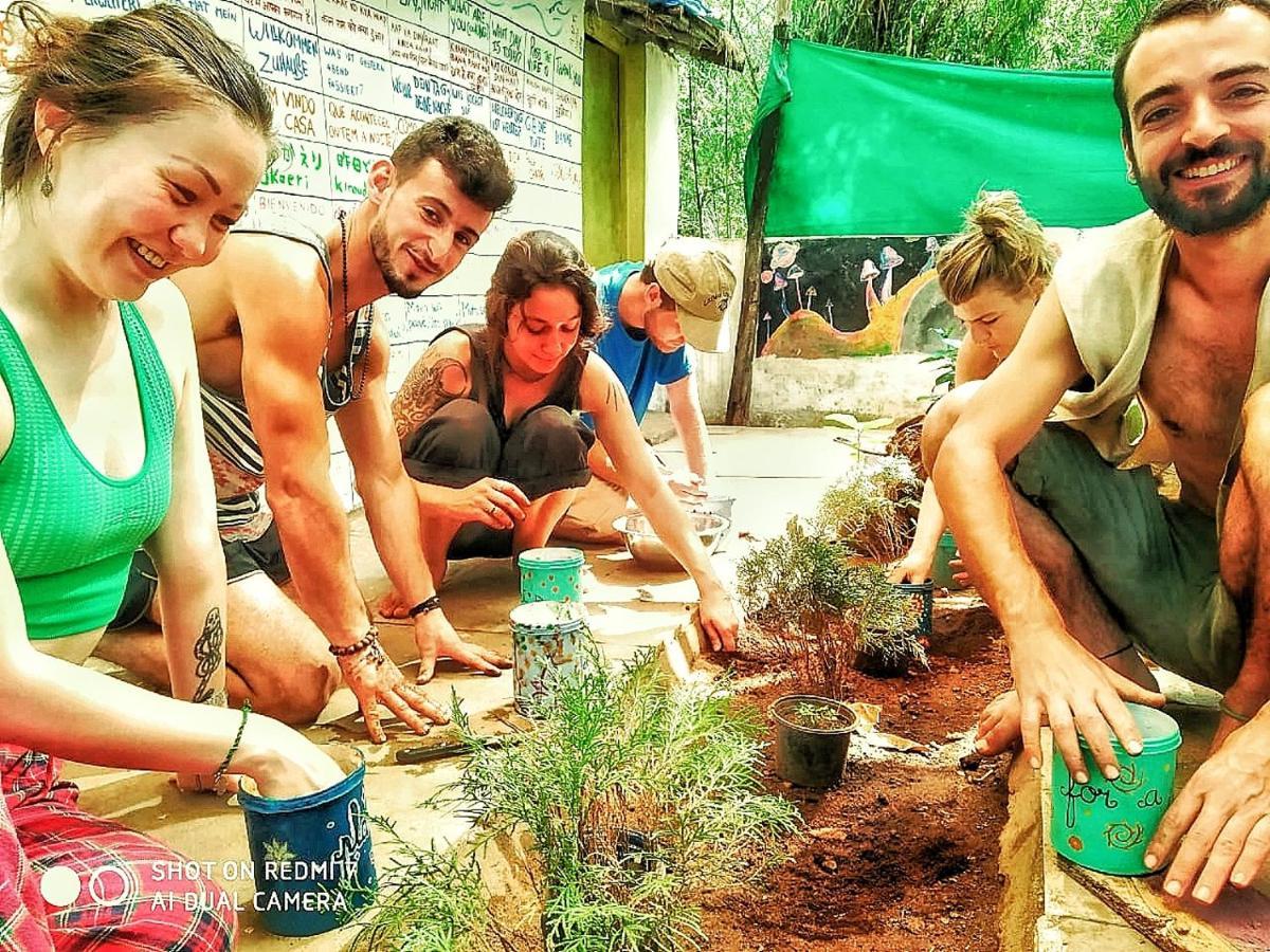 Bunkd Hostel, Andzsuna Kültér fotó